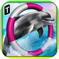海豚比赛3D